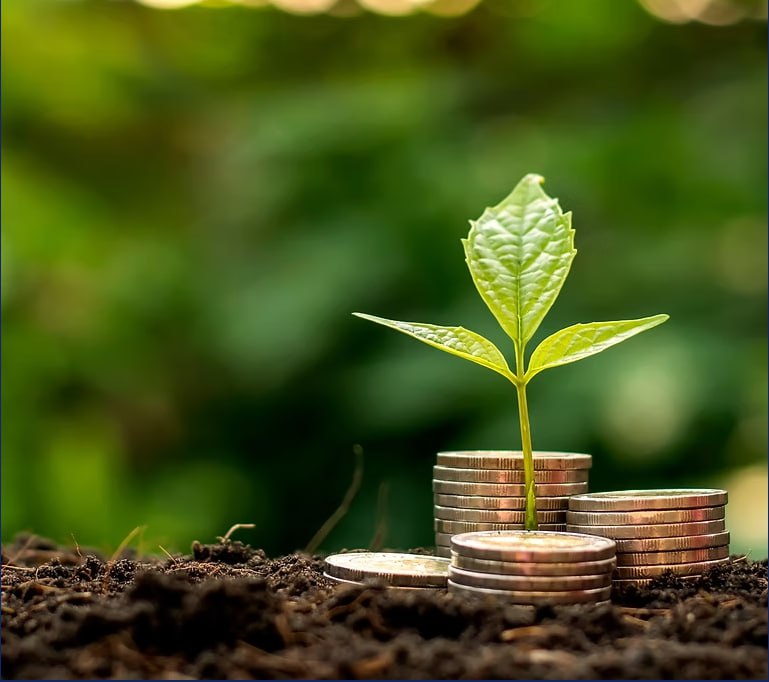 Sustainable Growth — plant growing from coins